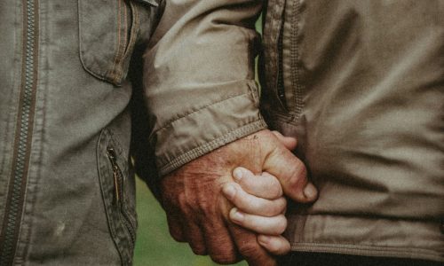 andrew-yurkiv-d3RTojynvnk-unsplash